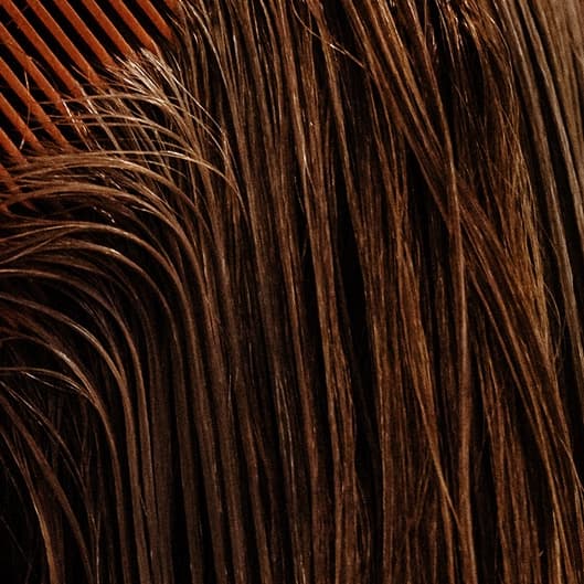Dry Head Spa 1x a Month at Moon and Sea Luxury Salon LLC in Avon, CT